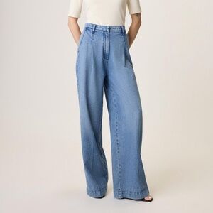 Rag & Bone Aurora Pleated Denim Trousers in Winwood Size 29 - NWOT